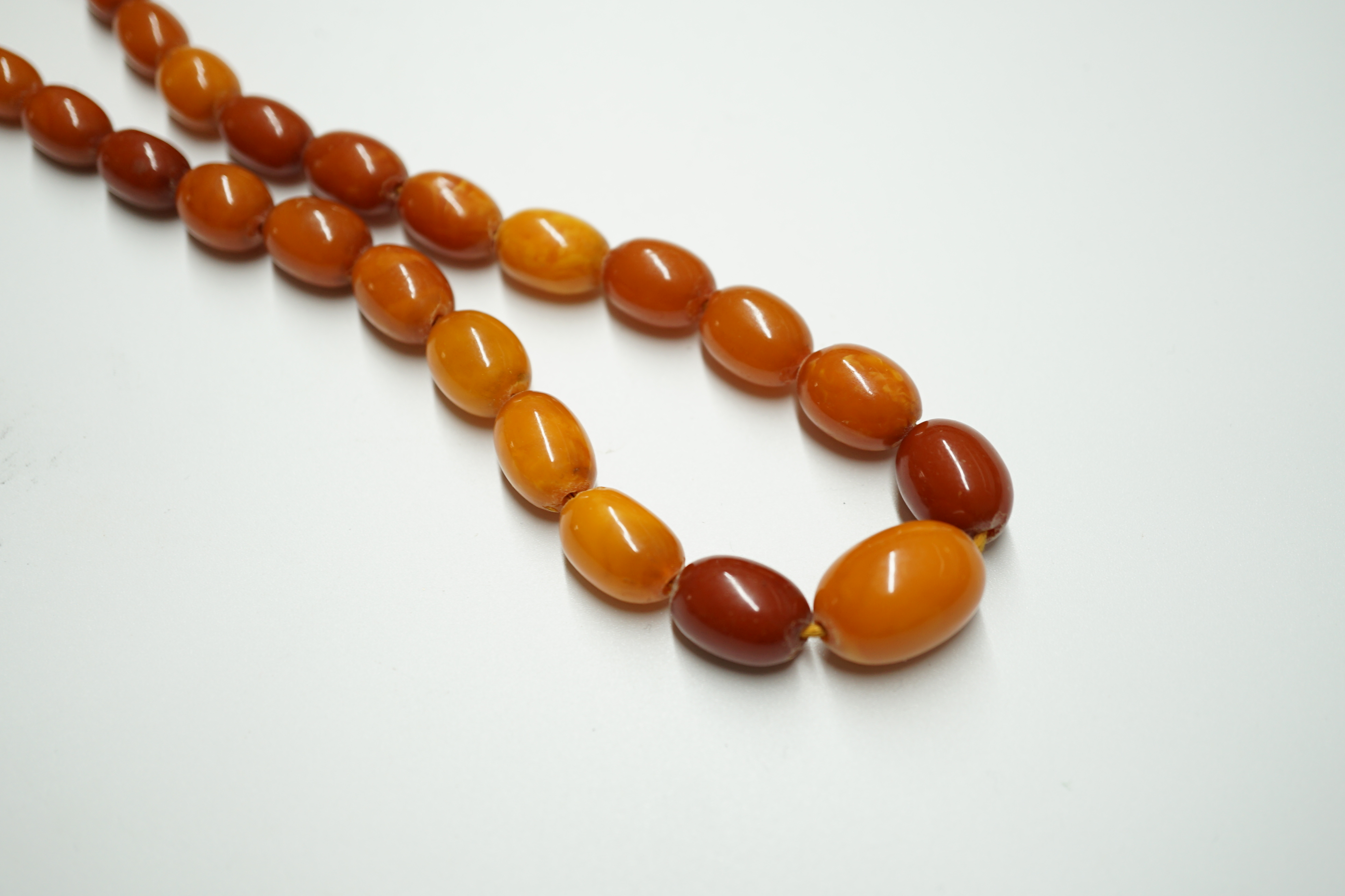 A single strand graduated oval amber bead necklace, 62cm, gross weight 33 grams